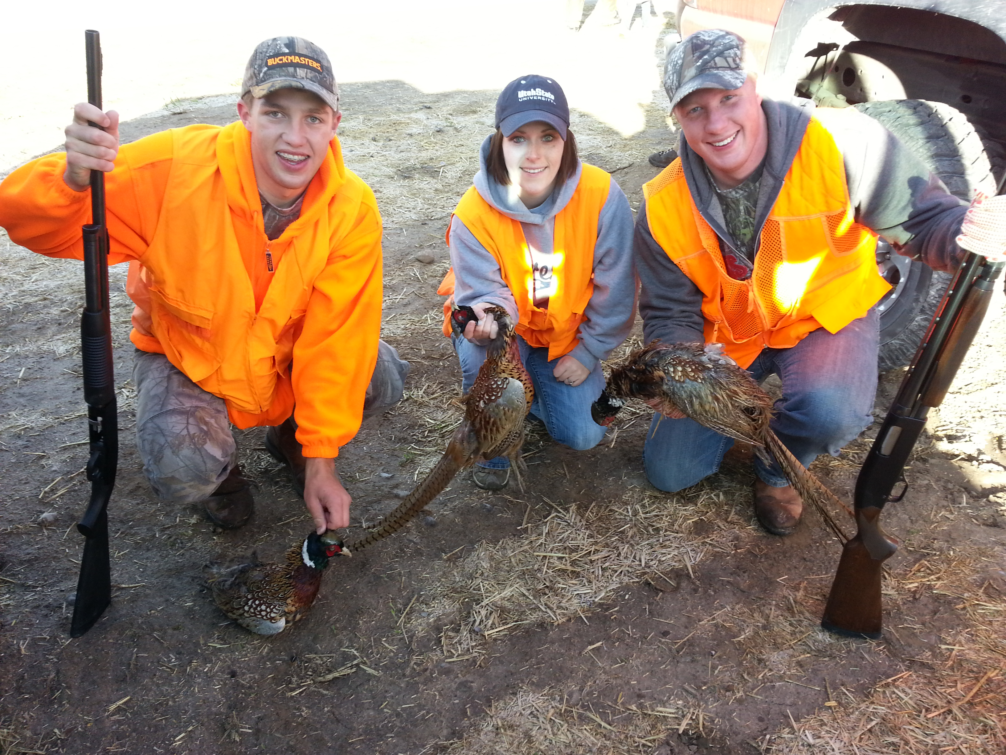 20121103-094427.jpg 20121103-094427.jpg