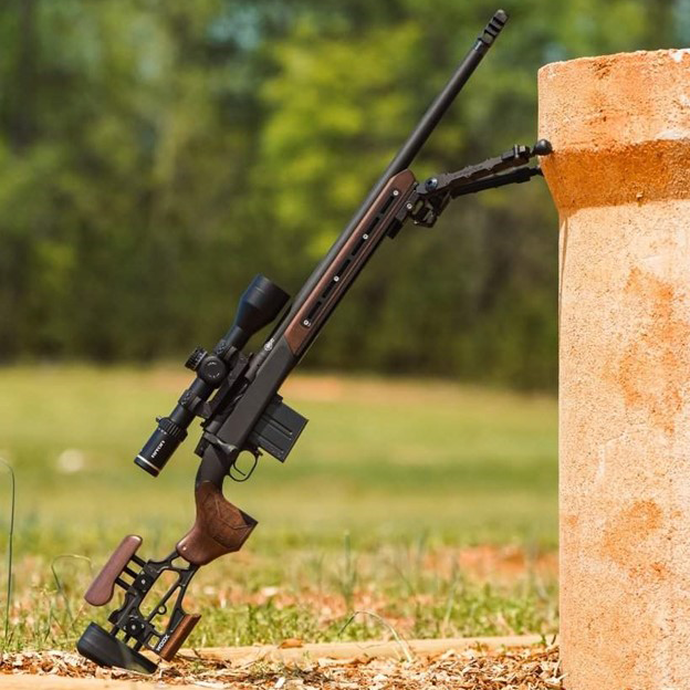 standard of aesthetics