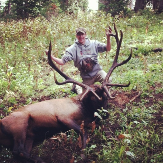 untitled2.png untitled2.png